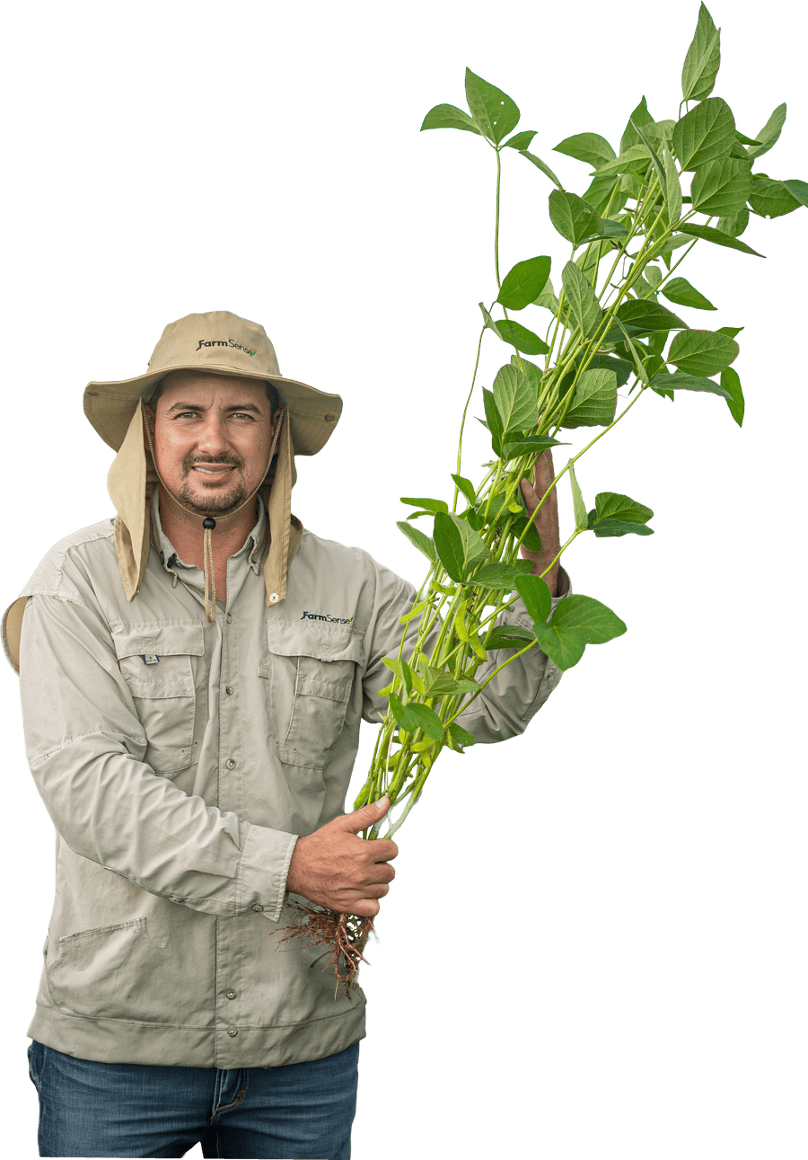 Fernando Vieira, CEO da FarmSense, com um pé de soja